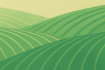 Plantes de bureau